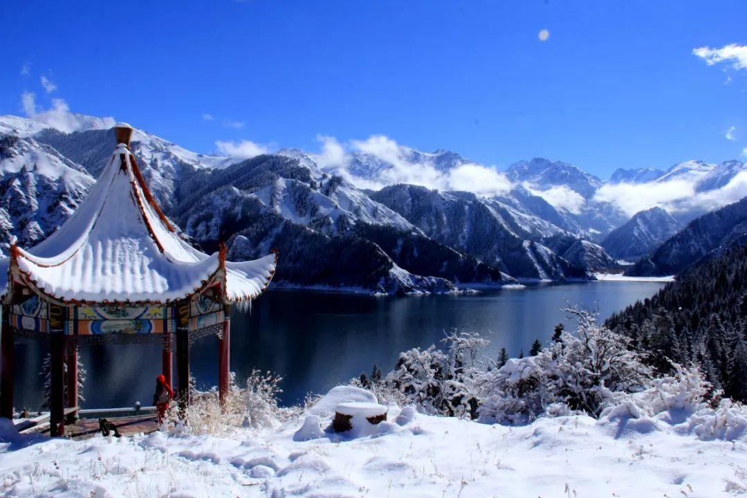 为什么农村老人会说，黄鼠狼不能杀，它真的有那么邪性吗？游戏画面